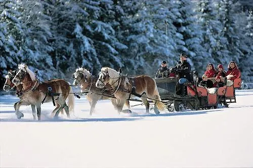Haflingerhof Hotell Roßhaupten